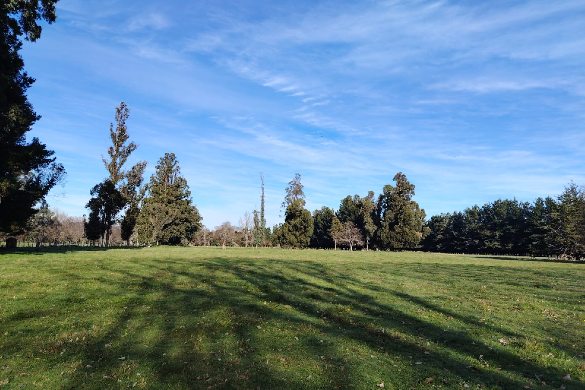 Campo agricola de 39 hectareas